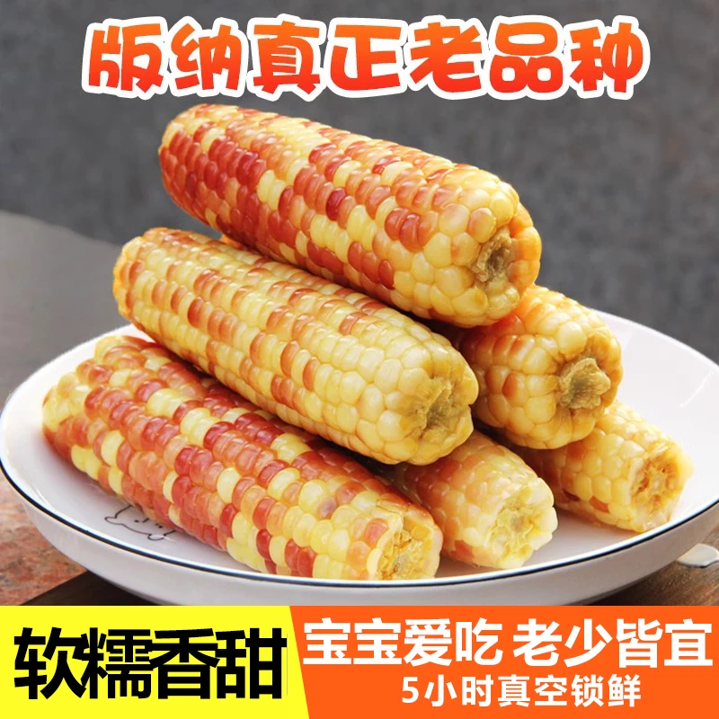 云南西双版纳香糯小玉米新鲜花糯甜糯玉米棒真空加热即食早餐营养