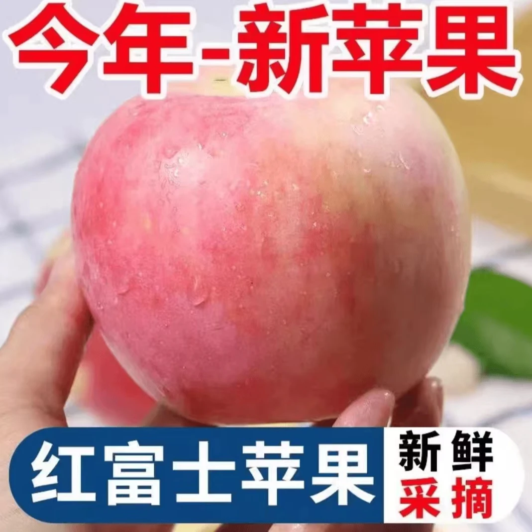 LX2025年山西运城头茬新鲜采摘早红富士丑苹果香脆甜多汁