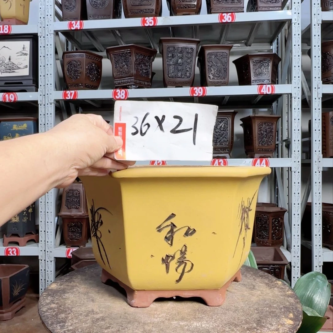 紫砂20CM（含）-50CM（不含）