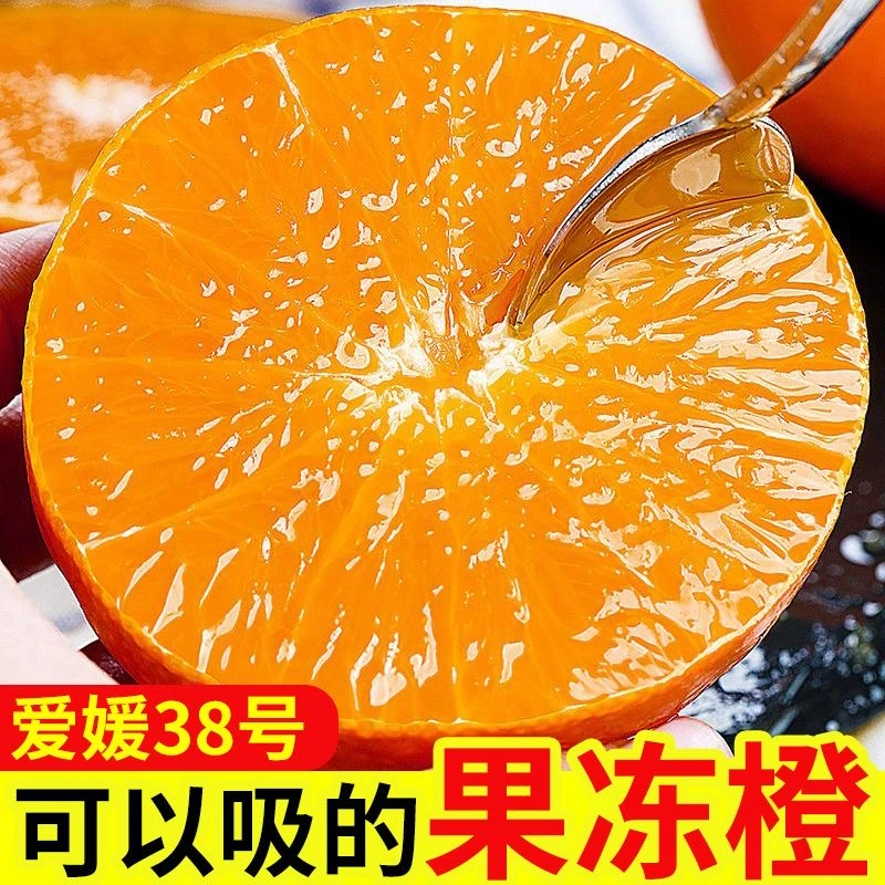 高山爱媛38号果冻橙 四川新鲜水果 榨汁水果新鲜橙子橘子A