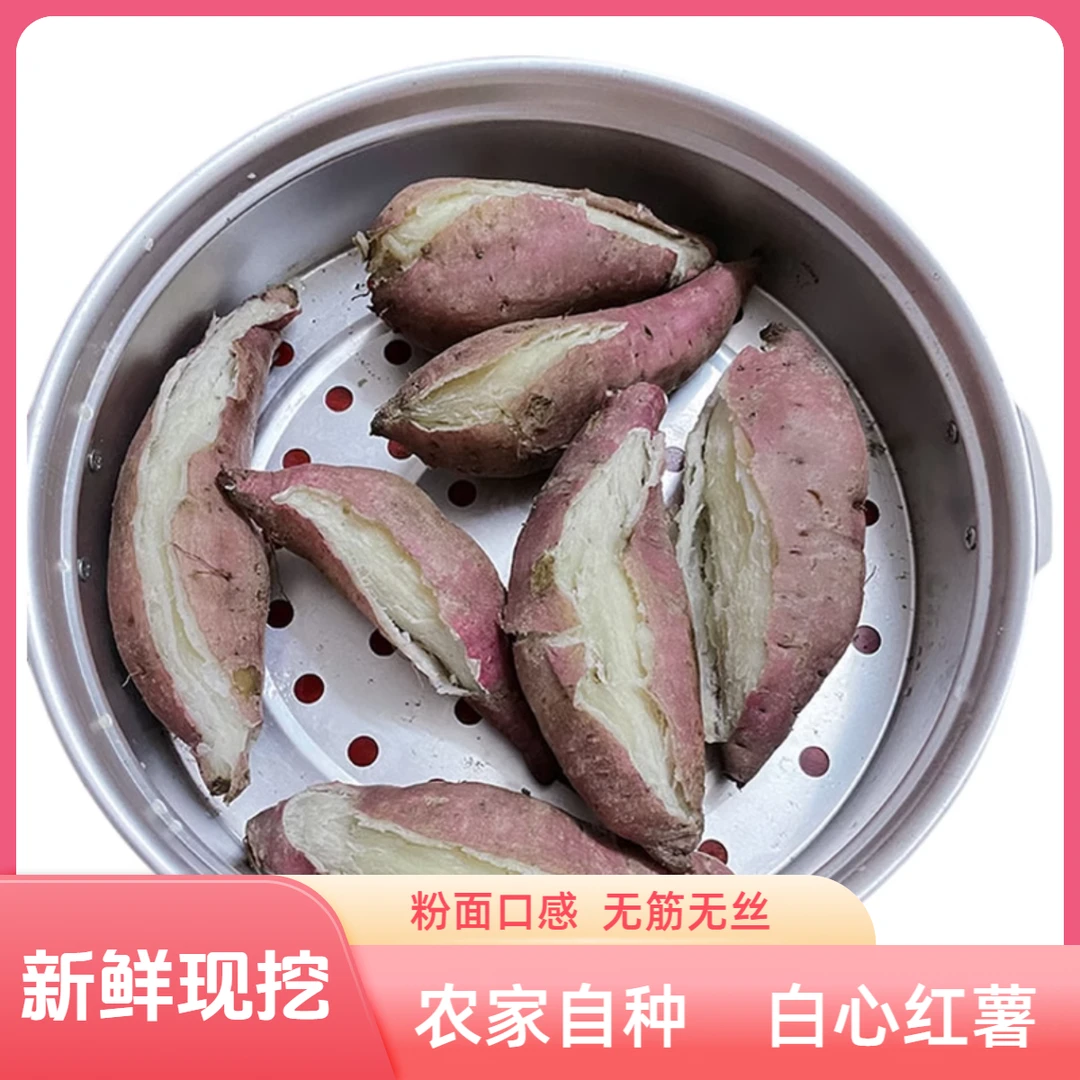 正宗海南板栗红薯粉地瓜沙地红薯海南地瓜食用小香薯海南特产好吃