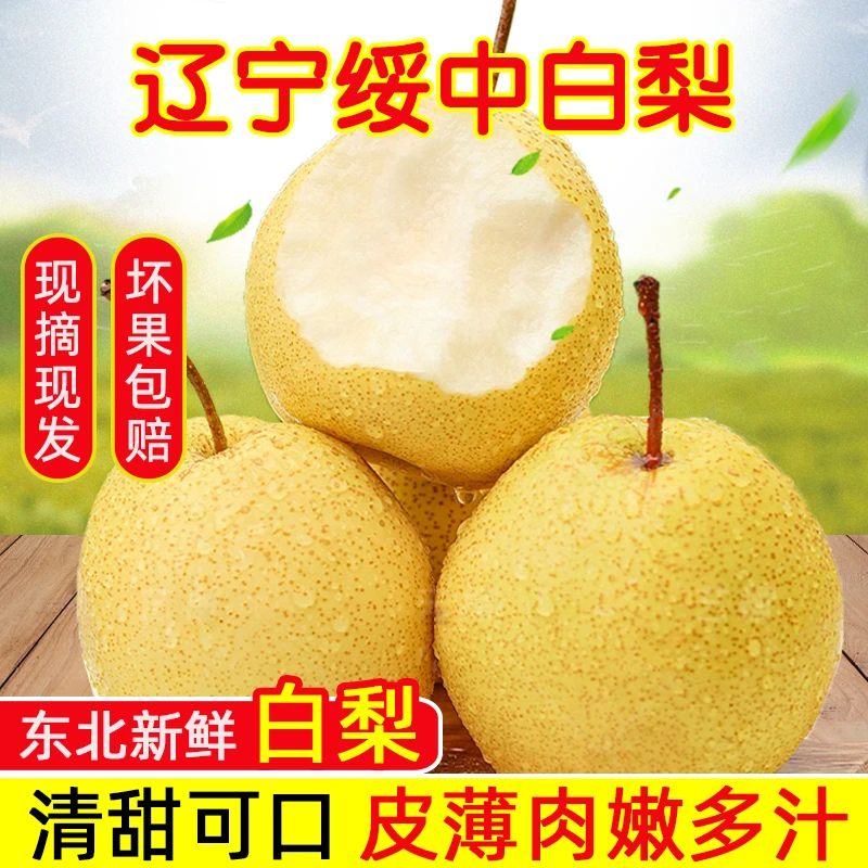 顺丰包邮绥中整箱梨脆甜薄皮黄金梨新鲜应季水果现摘东北白梨超甜