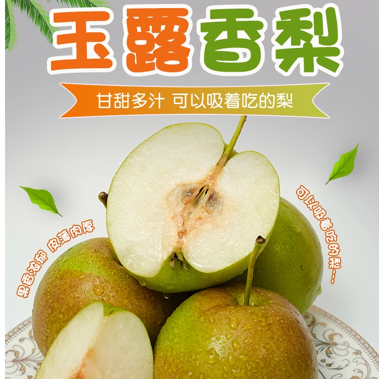 顺丰发货正宗玉露香梨新鲜当季水果脆甜无渣薄皮梨子整箱非库尔勒