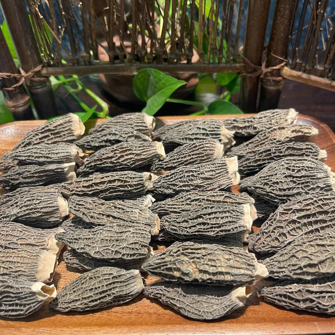 广东周公子  农产品羊肚菌   1-500克包邮