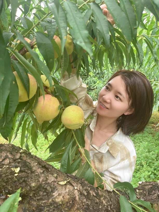 【京东顺丰送达】广东正宗连平上坪老宋家鹰嘴桃新鲜水果当季整箱
