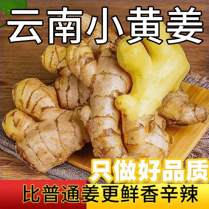 正宗云南小黄姜高山原产地现挖自己种植新鲜净重3斤/5斤生姜包邮