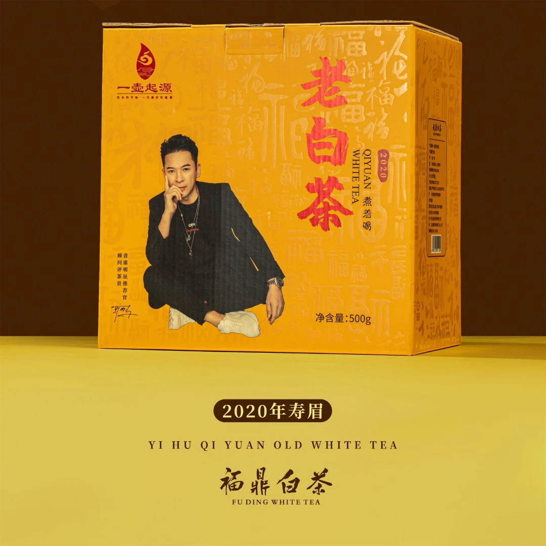 一壶起源福鼎白茶2020寿眉 500g散茶装起源白茶