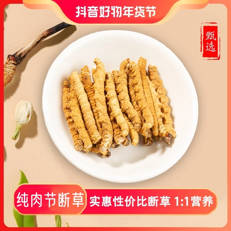 【A主播专属】精选 冬虫夏草 特大肉节断草10克 干断草 大断草自用