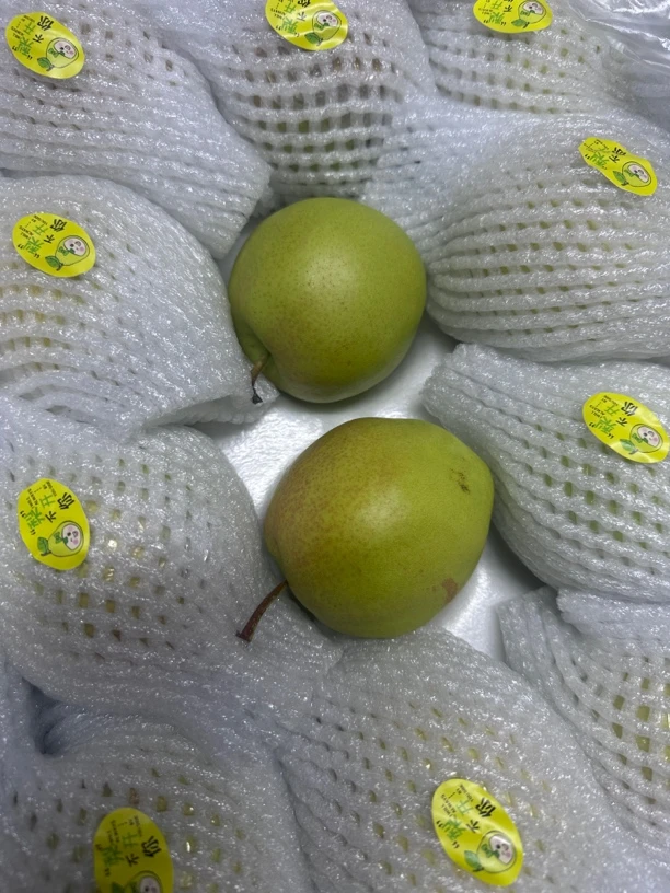 玉露香梨-5斤顺丰包邮