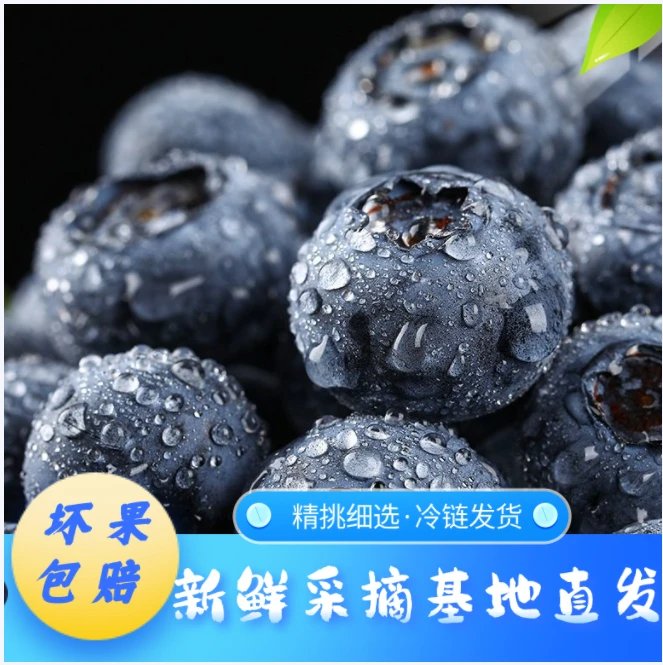 ★热卖★12+mm中果 新鲜现摘现发 净果100g/盒 【巨划算】