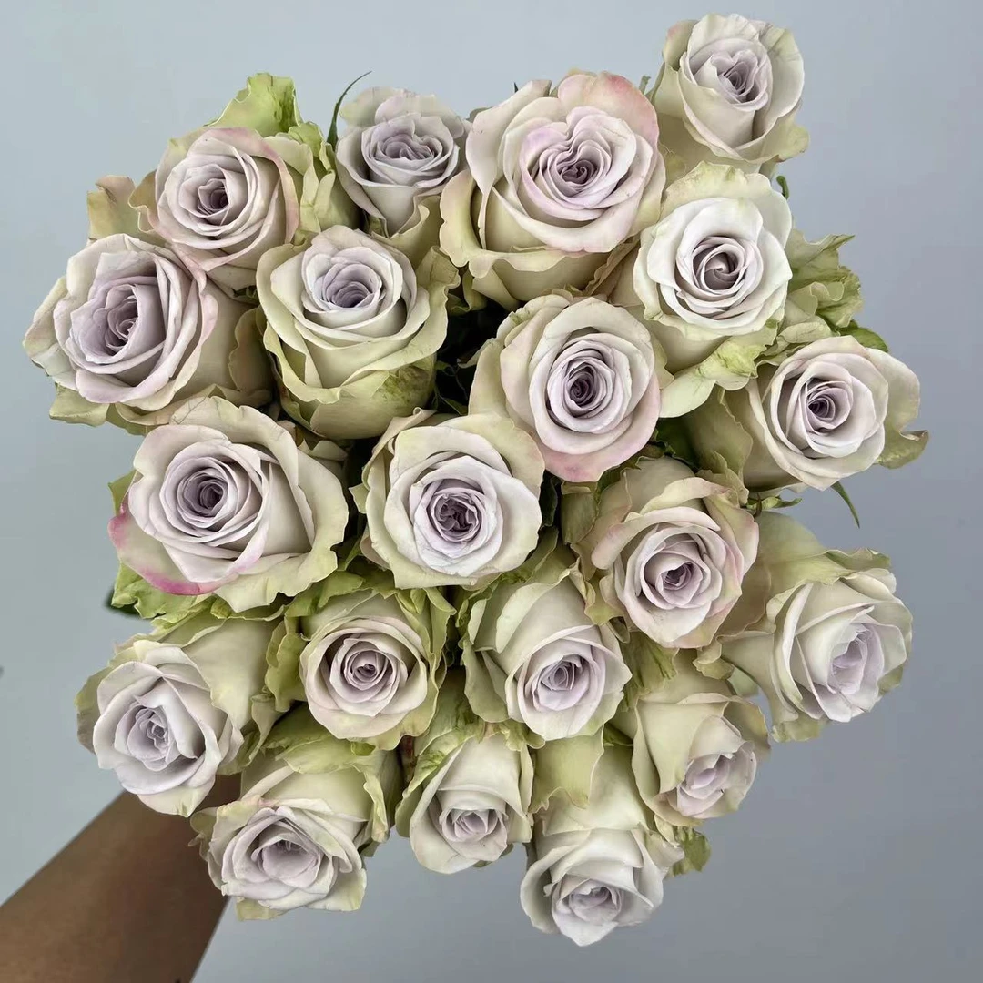 【海洋之心】云南鲜花基地直发鲜切花玫瑰鲜花送礼