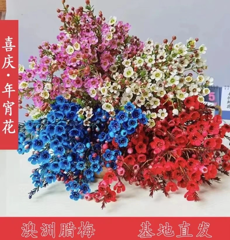 【腊梅】云南鲜花基地直发鲜切花玫瑰鲜花送礼