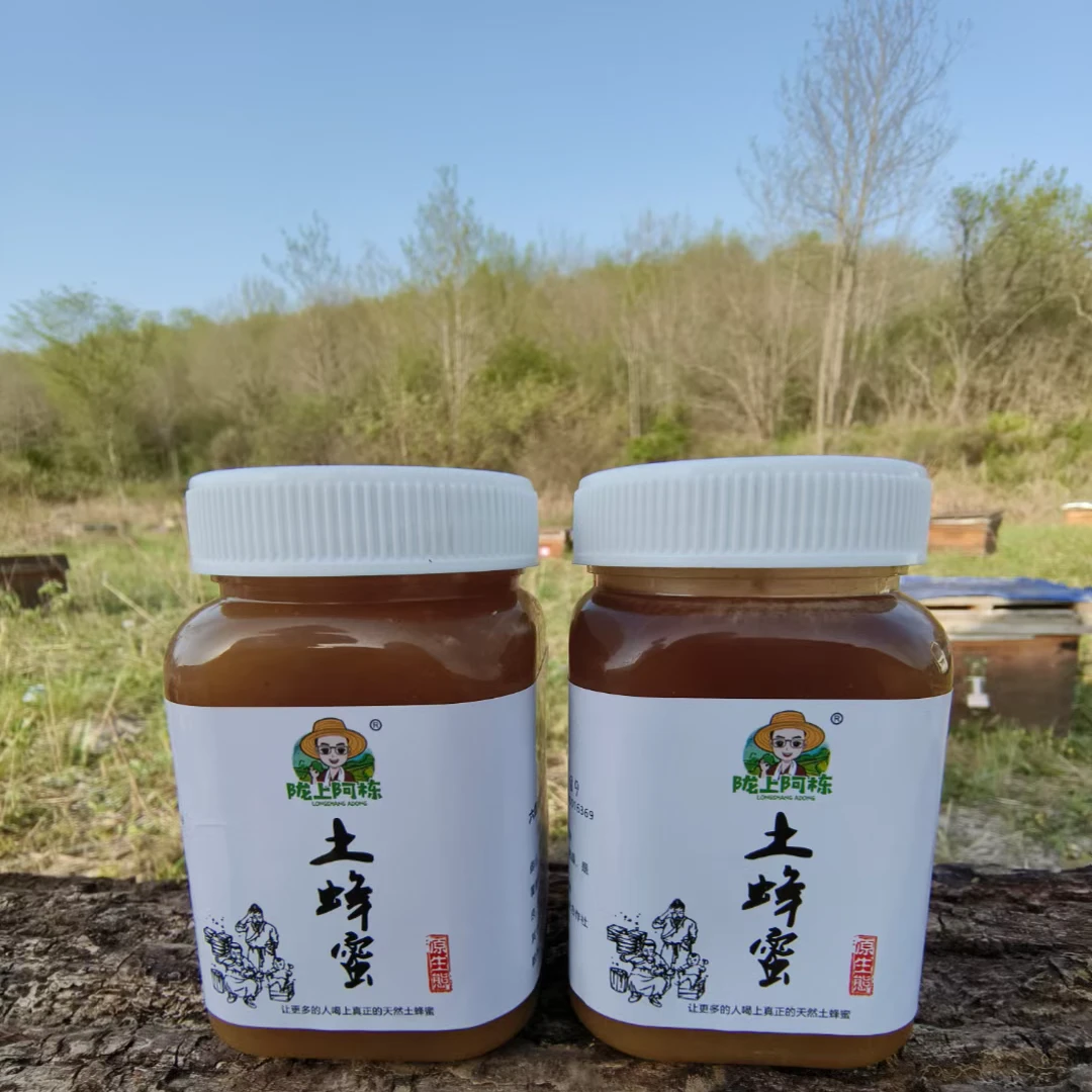 2025年大山深处土蜂蜜包邮