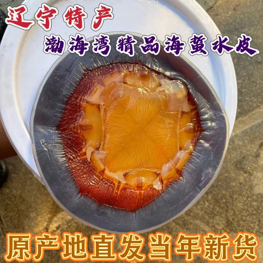 野生红太阳海蜇水皮