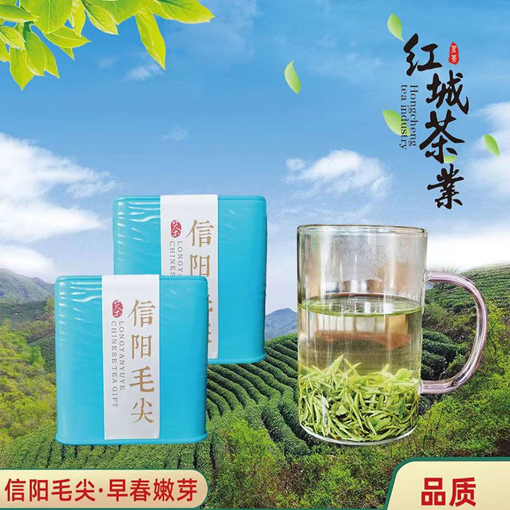 龙眼雨叶信阳毛尖罐装新茶浓香型新县陈店老旱茶雨前中芽(50g/罐)