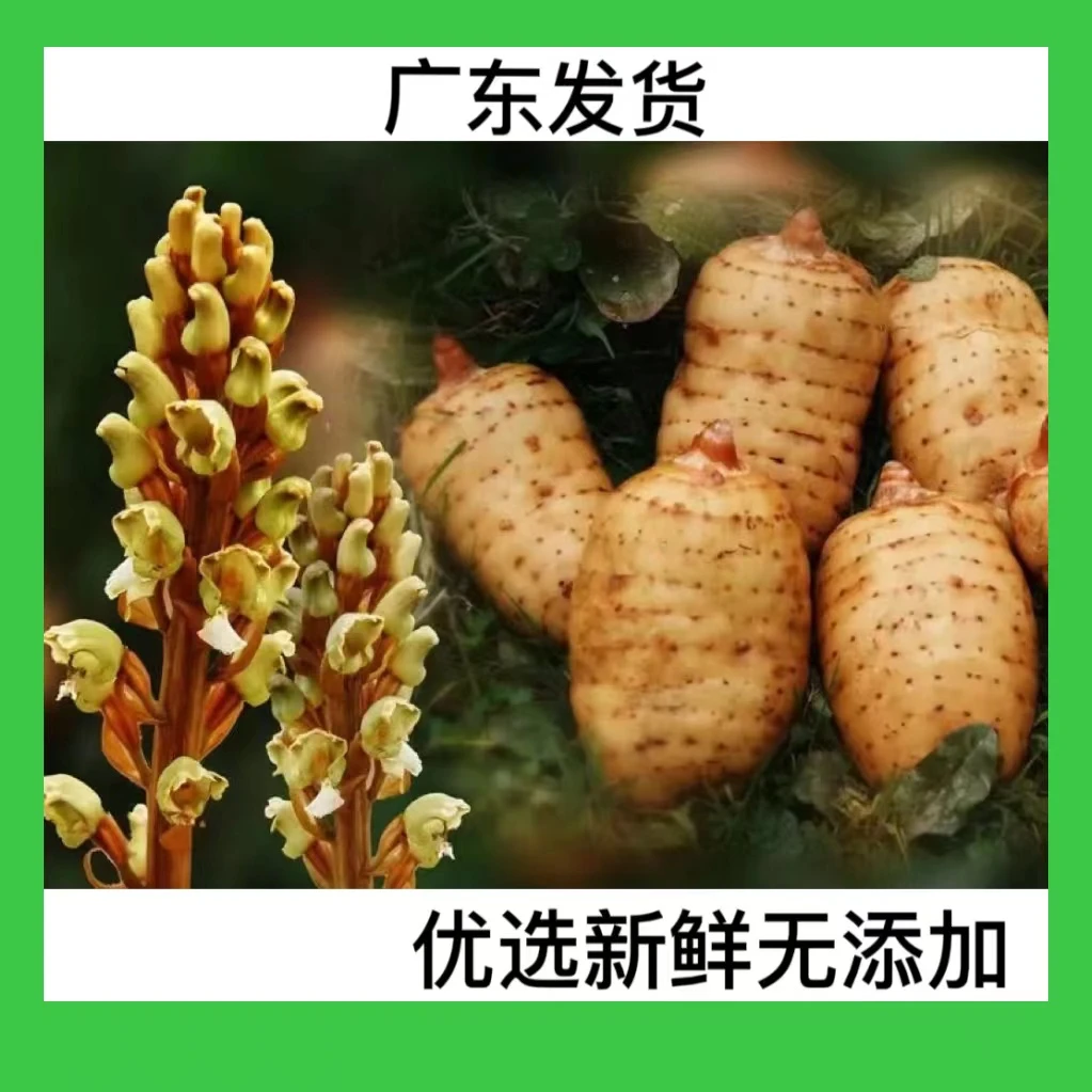 兔妈臻选/农产品/食用天麻-叶100g