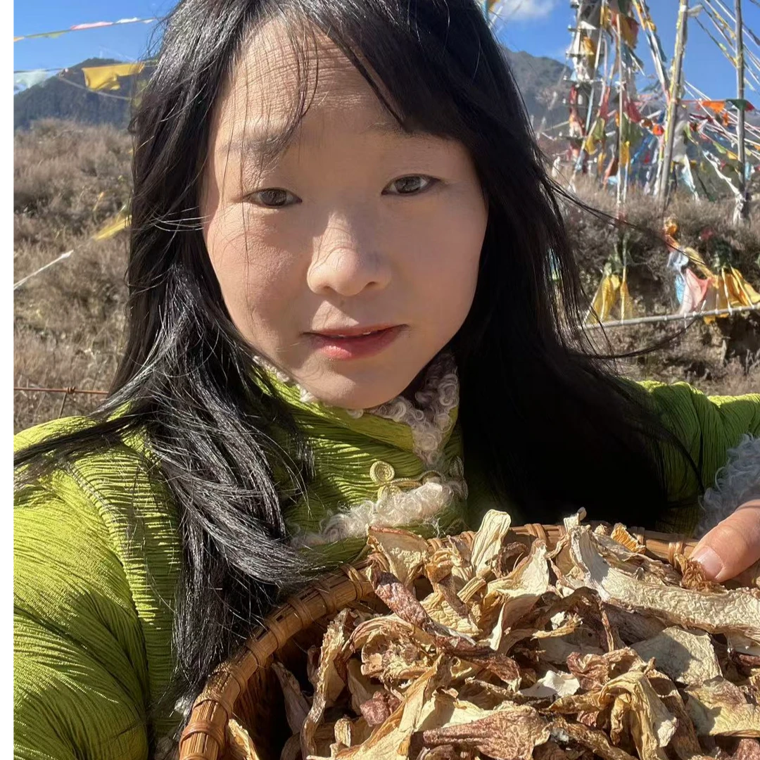 （小青在西藏）西藏青冈菌 青藏高原天然无污染干货