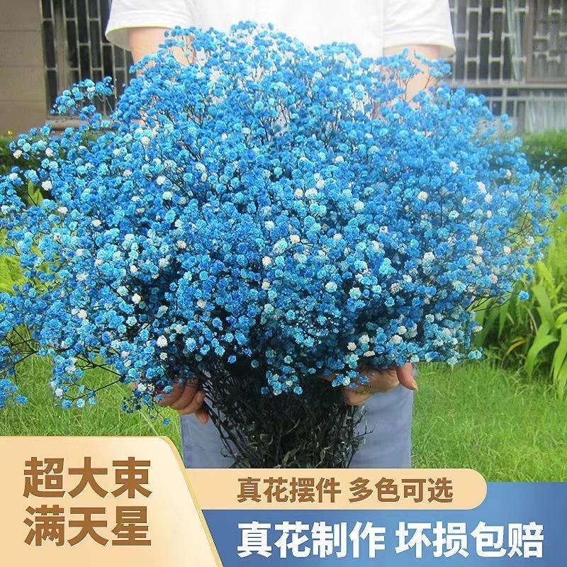 【永生花满天星云南鲜花制作而成】花店花材、家庭插花、婚庆软装diy