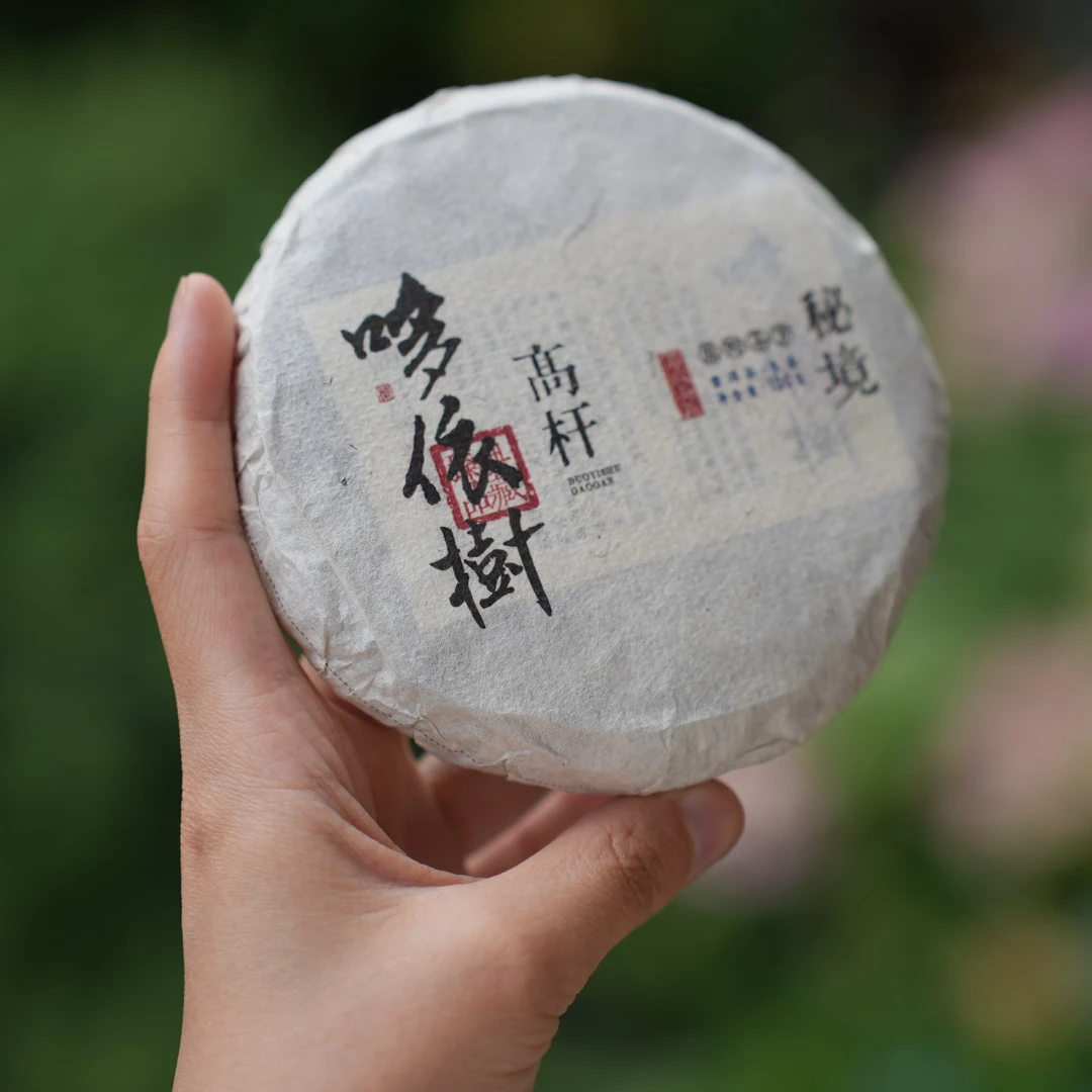 2024年 哆依树高杆  普洱生茶 100克/饼