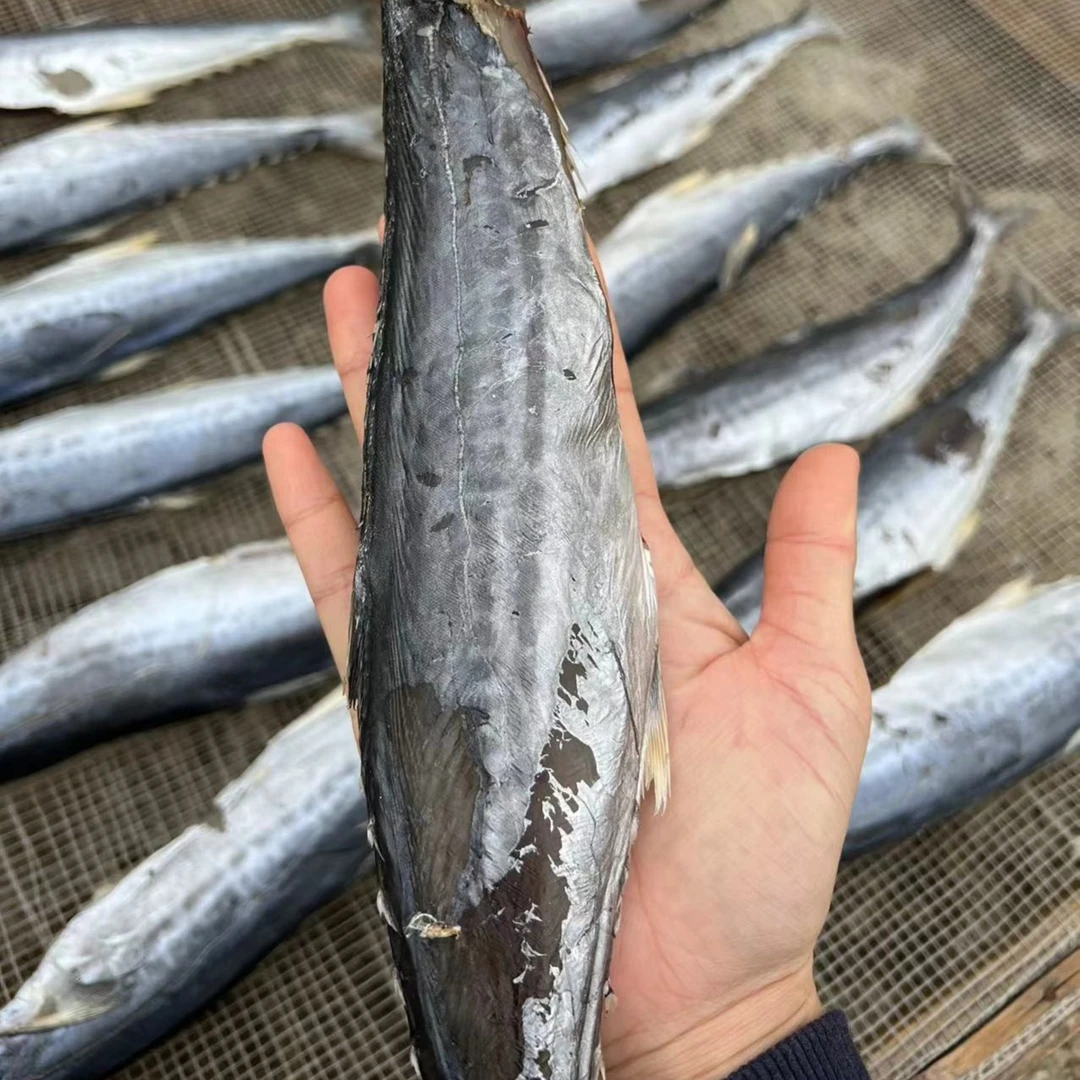 台山广海渔民自晒马鲛鱼 咸鱼鱼干 淡货 500g 广东省包邮