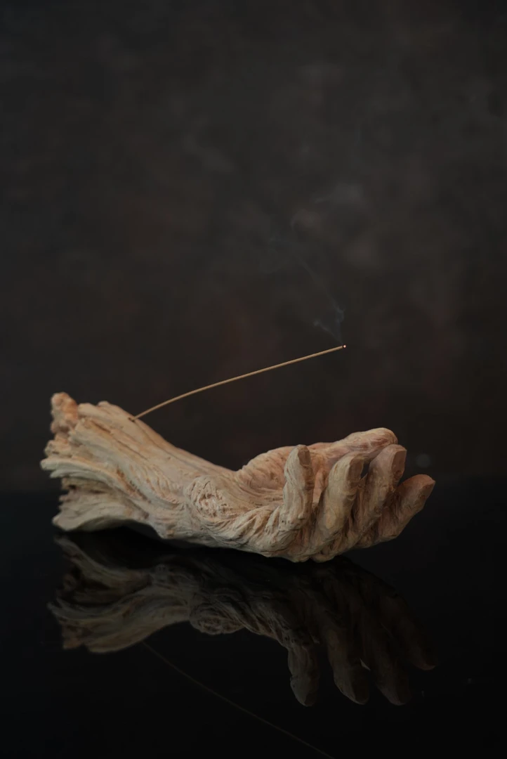 「舍」原创手作龙眼木中号32cm创意工艺品雕塑手把件雕刻根雕纯手工