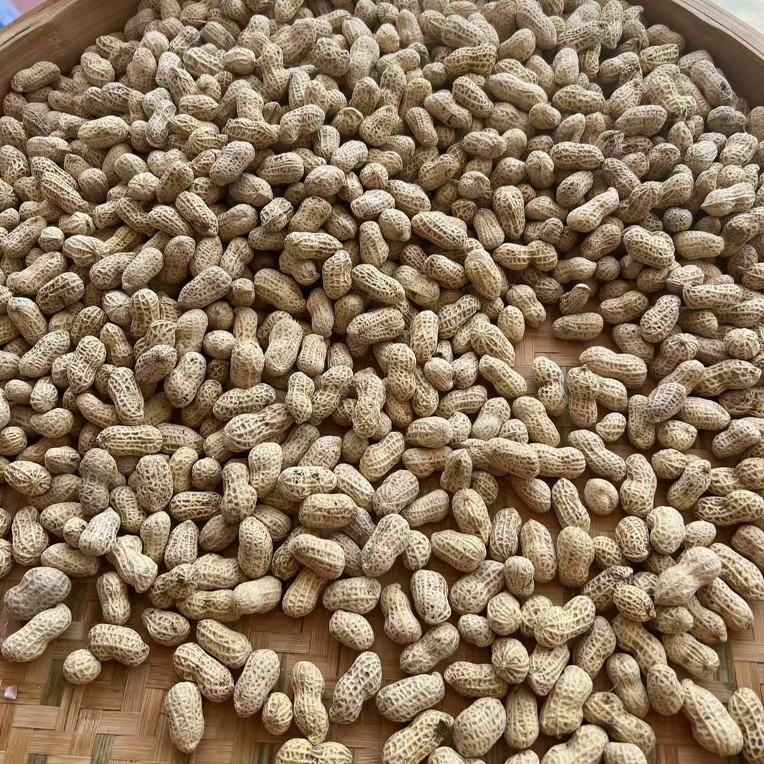 仙游特产农家水煮花生