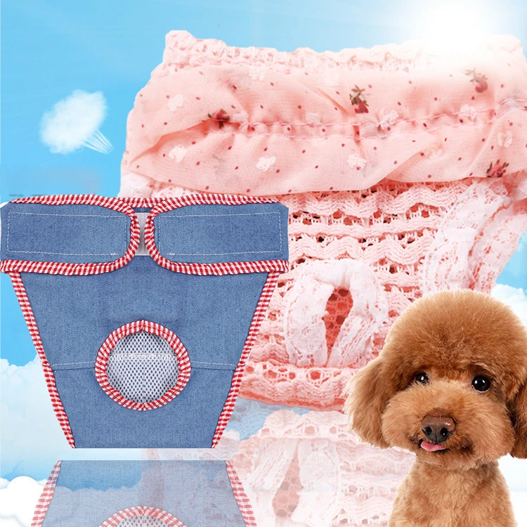 清仓小中型犬雪纺牛仔生理裤内裤宠物狗狗猫咪舒适透气衣服用品