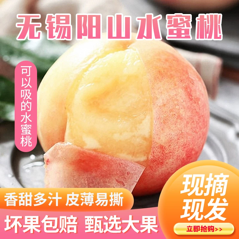 【单果3-4两】无锡阳山水蜜桃夏日尝鲜精品单果12个多汁装桃子爽口
