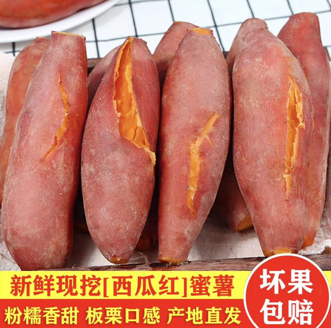 2025现挖沙地蜜薯3斤5斤9斤软糯香甜无筋无丝
