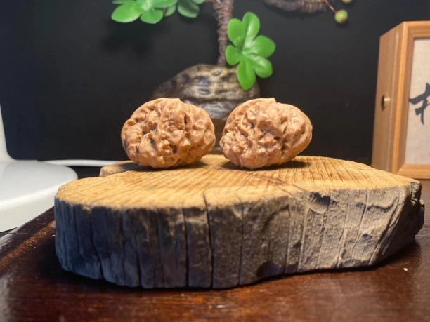 1号 蛤蟆头，异型，一帆风顺