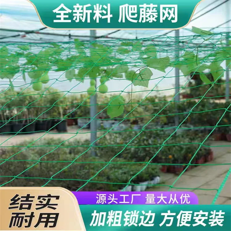 家庭园艺植物爬藤网果园种植网丝瓜百香果葡萄爬藤网防护网藤蔓网