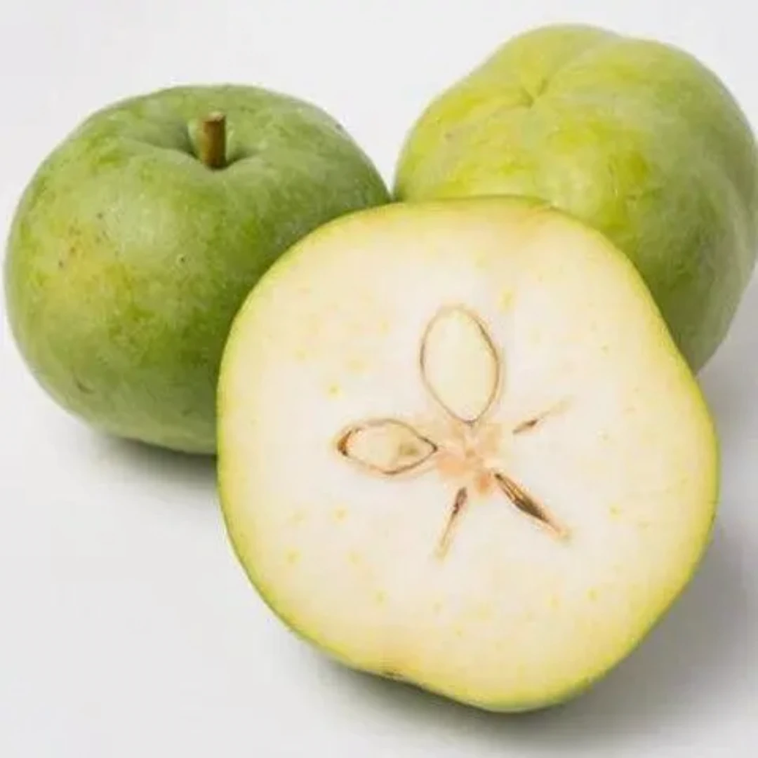 木子精选白柿，鲜大果［顺丰包邮］