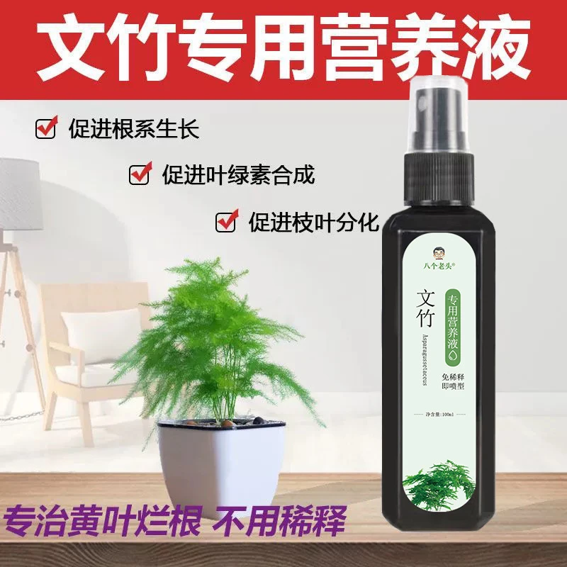 【亏本福利活动中】八个老头文竹专用营养液专用肥免稀释去黄叶烂根