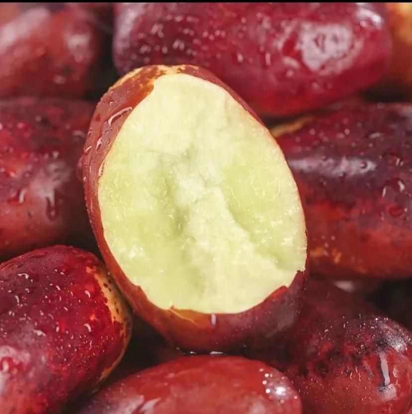 【顺丰包邮】正宗沙漠枣子 5斤装现摘现发