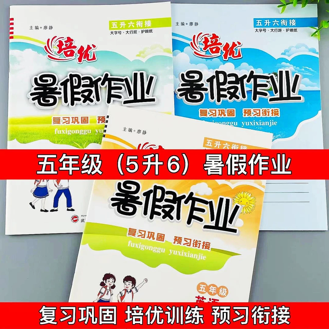 五年级暑假作业语数英全套暑假练习册复习巩固培优训练预习衔接练