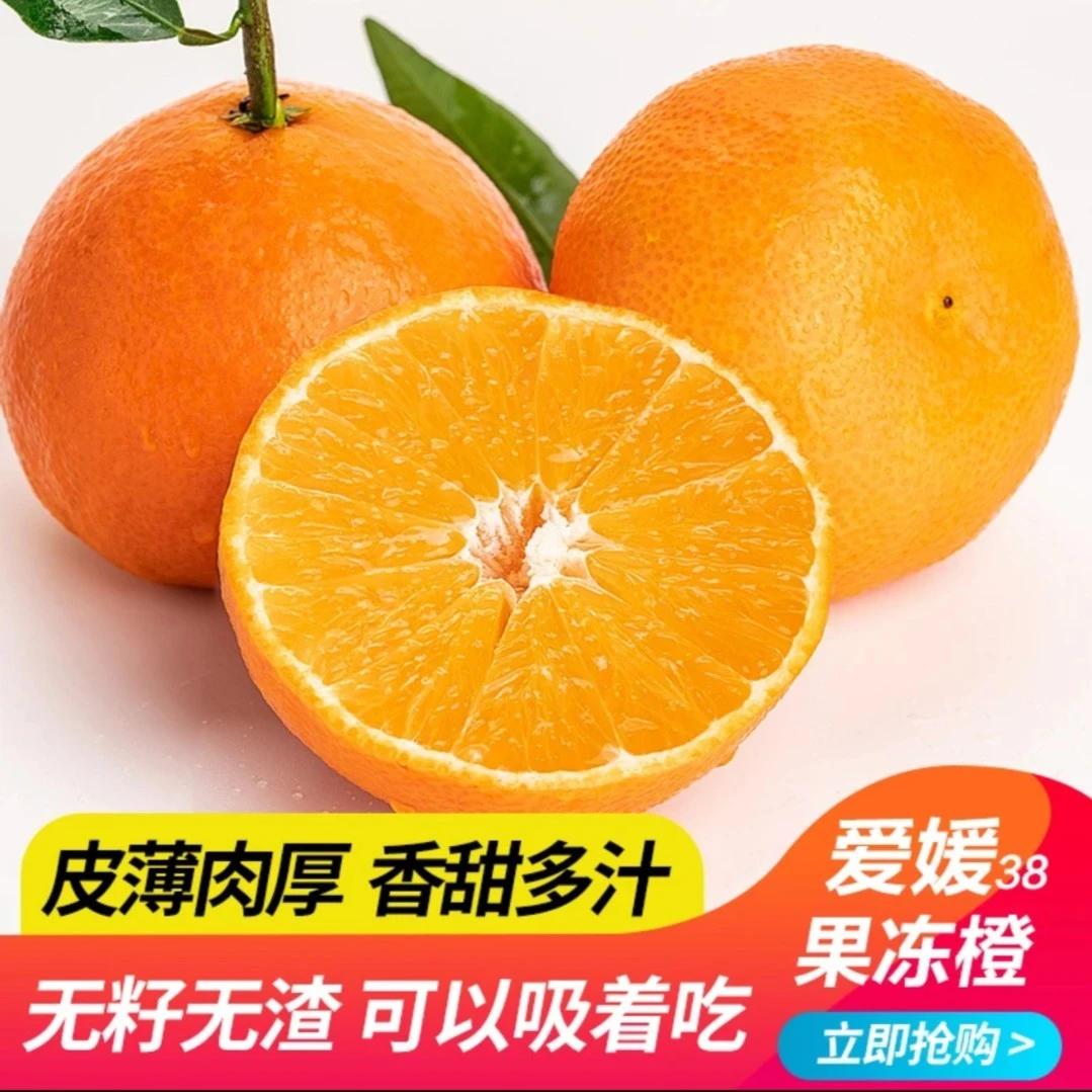 【次日达】四川眉山爱媛38号果冻橙2-5斤 新鲜采摘 产地直发