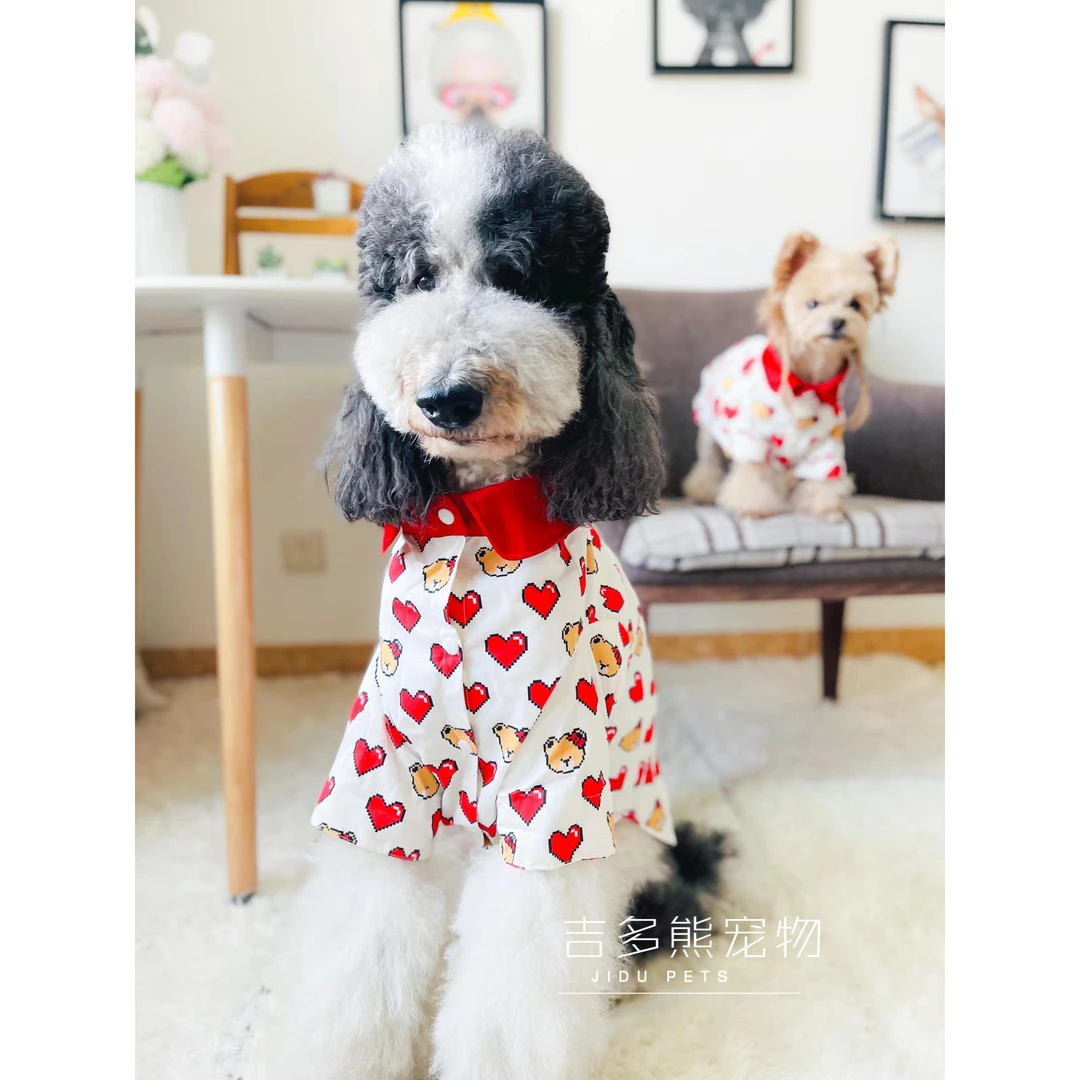 吉多熊家狗狗衣服秋冬小熊衬衣原创定制高端手工保暖潮牌大狗小狗