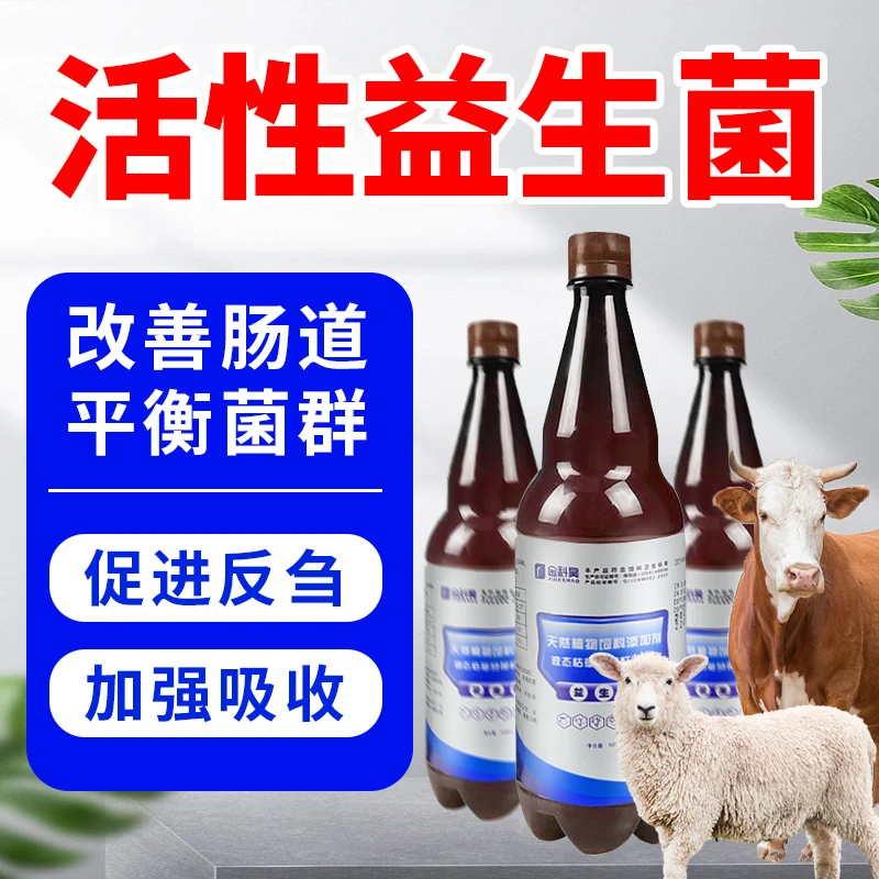 兽用天然活性益生菌家畜调理肠胃补充营养牛羊养殖促反刍促消化用