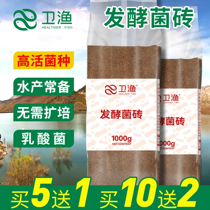发酵菌砖乳酸菌种水产养殖南美白对鱼虾蟹参蛙用水产益生菌拌料宝