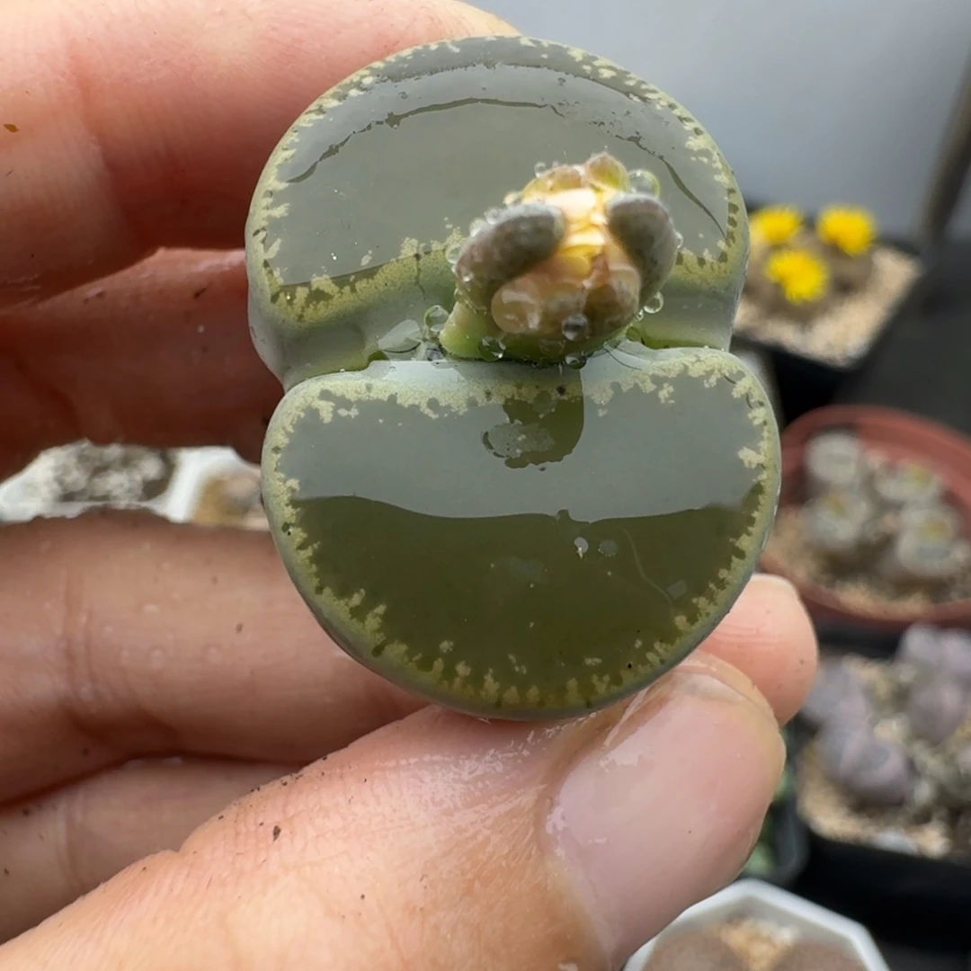 39包邮942福利11111