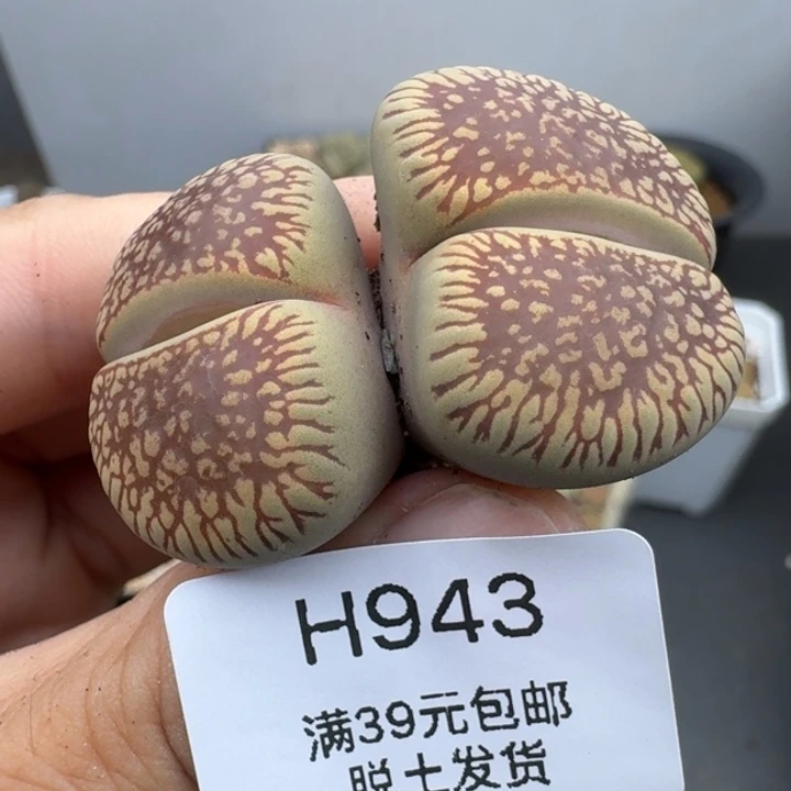 39包邮943福利111