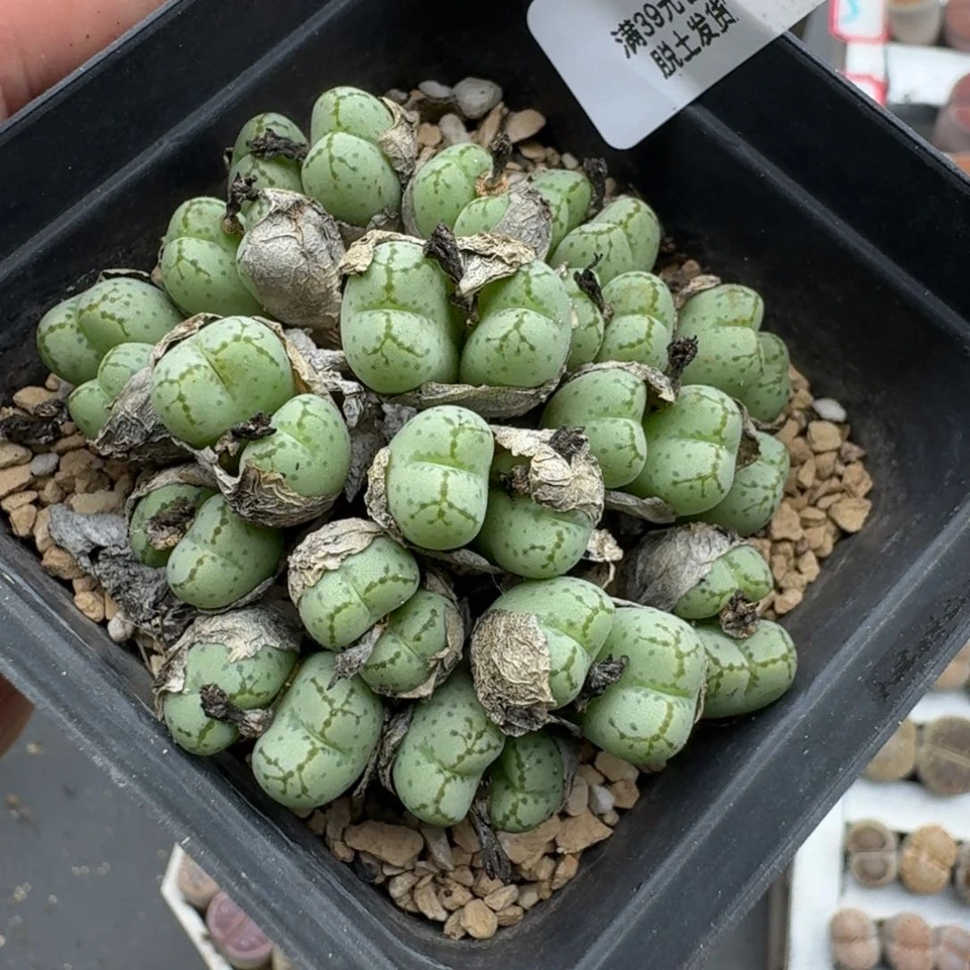 695哈哈哈哈哈哈哈哈哈