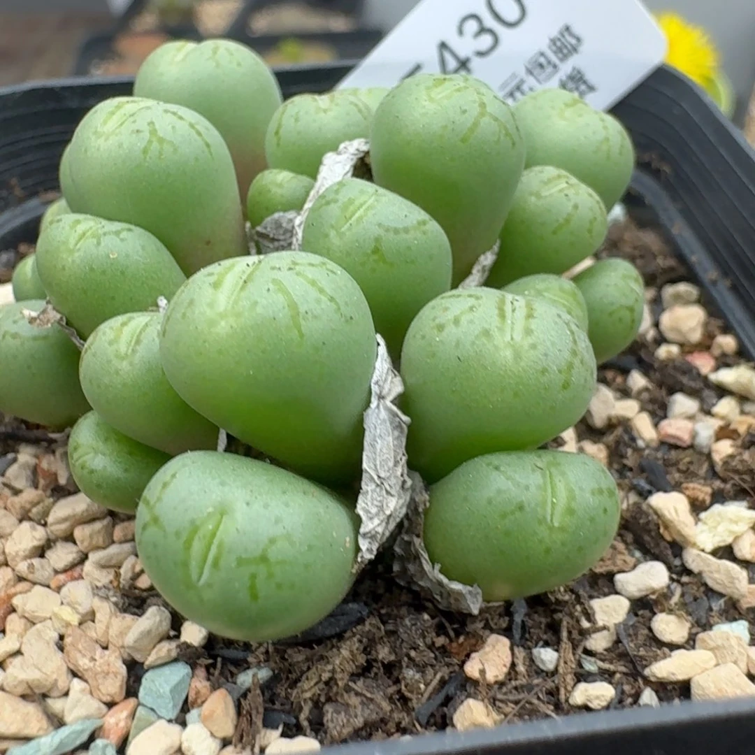 430哈哈哈哈哈哈哈哈