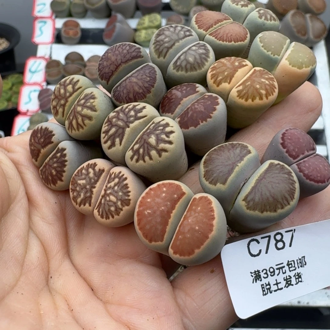 小****)39包邮787福利11111