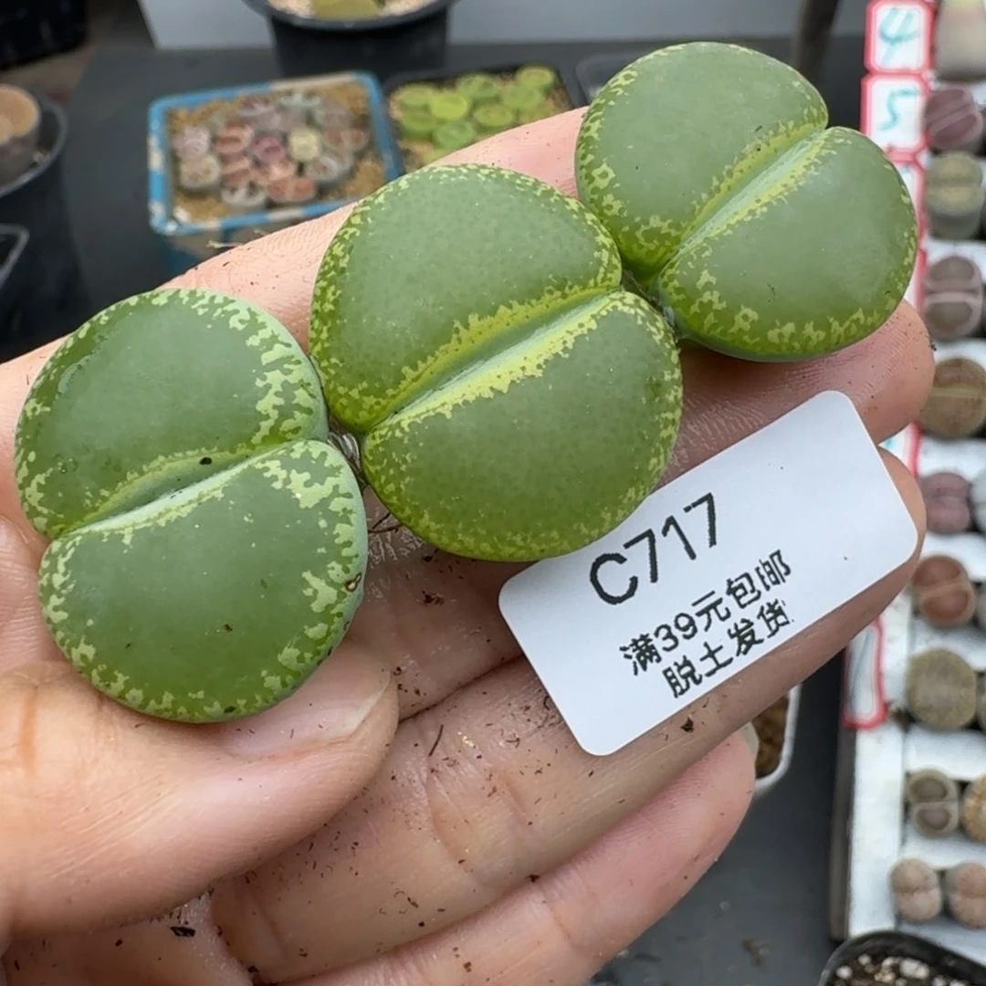 39包邮717福利11111