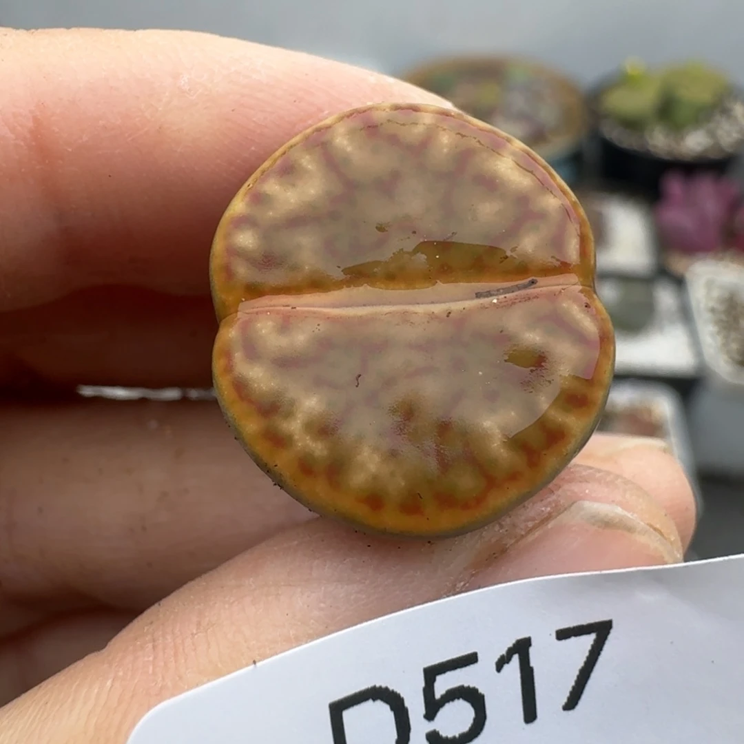 39包邮517福利11111