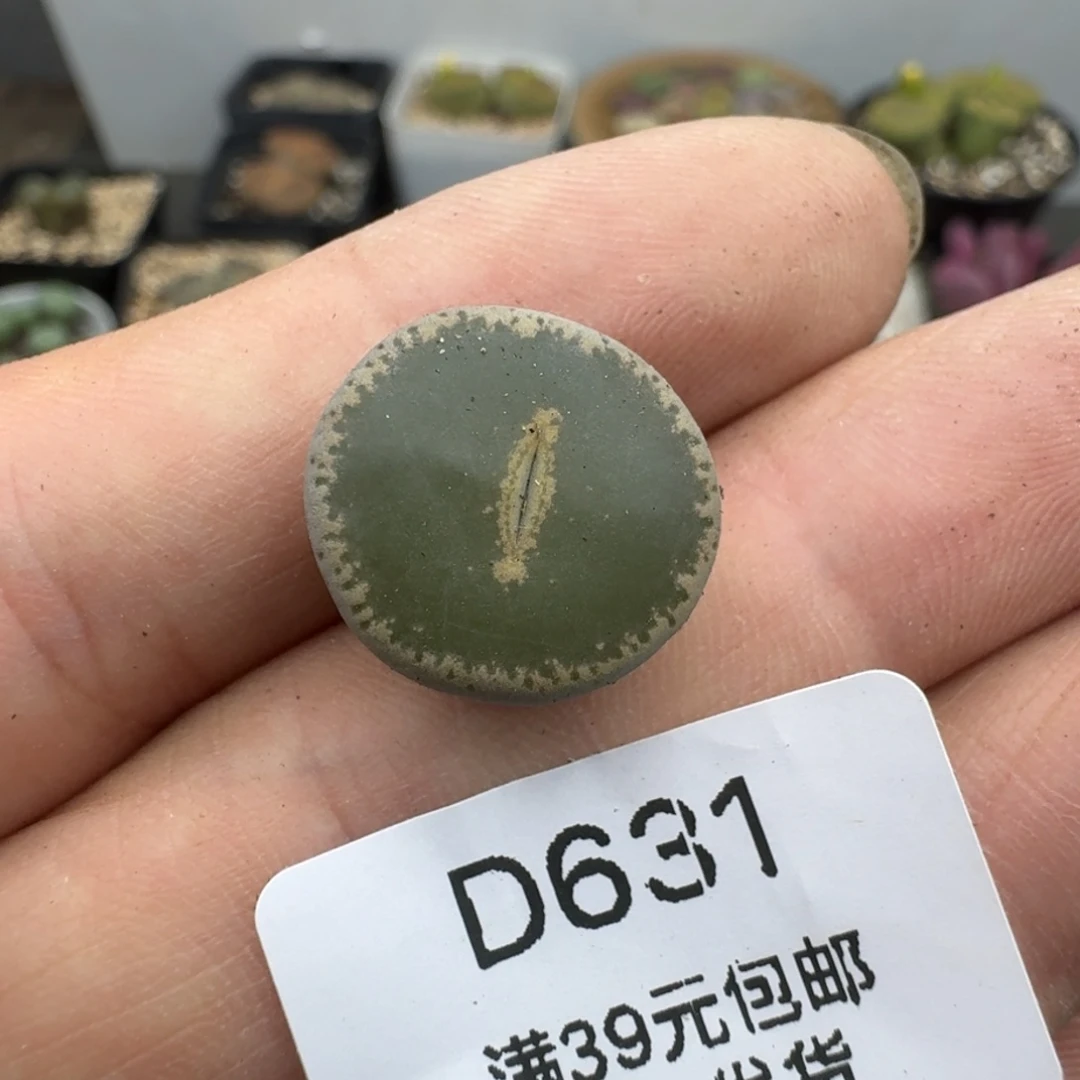 631哈哈哈哈哈哈哈哈哈哈