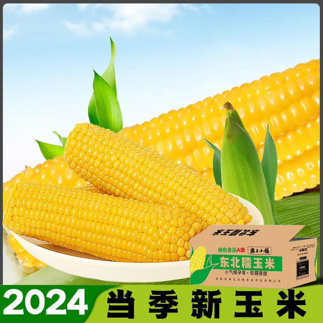12支7斤】新采2024东北头茬黄糯玉米