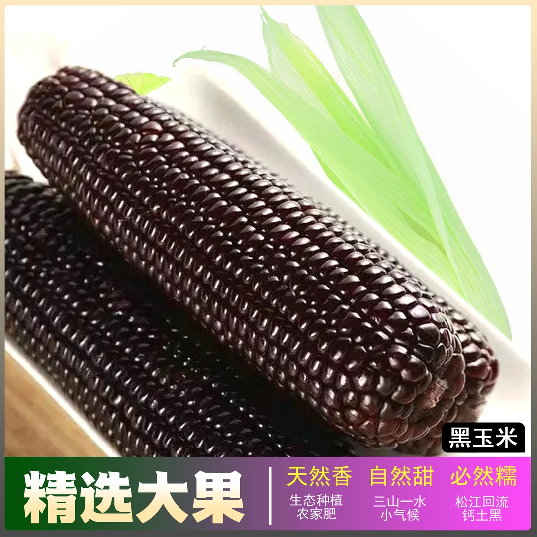 5支福利】东北黑甜糯玉米原产地直发