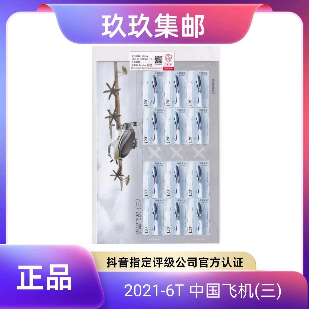 2021-6T 中国飞机（3)大版 邮票  信泰评级